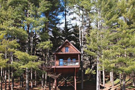The Joshua Tree House