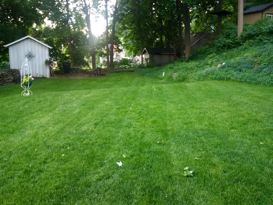 Looking from entrance to back yard
