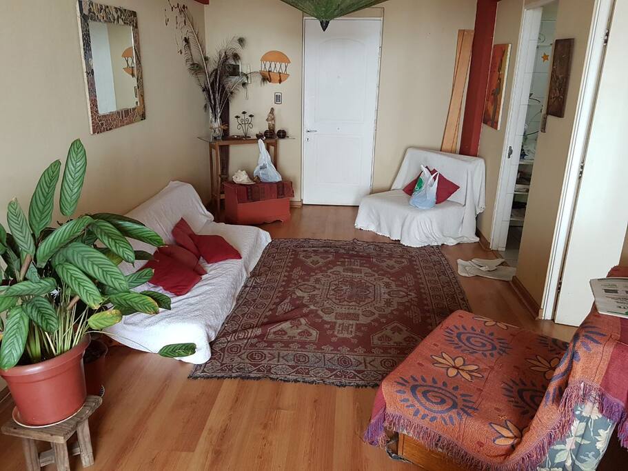 Living con sofa cama