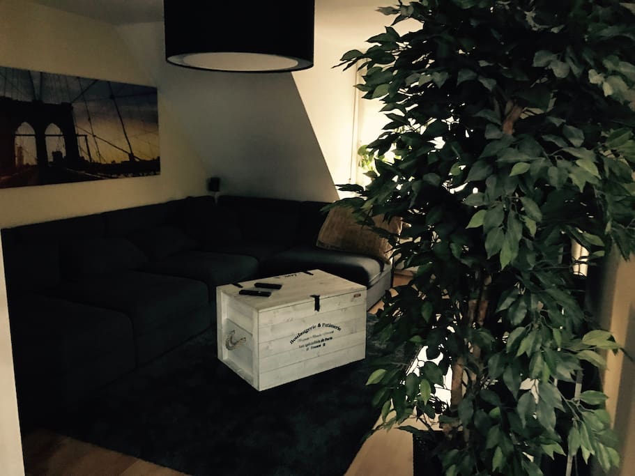 Wohnzimmer mit Schlafcouch