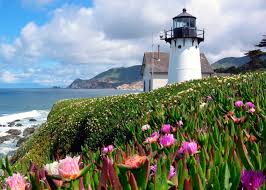 The image captures the Montara Lighthouse amidst vibrant coastal flora. Colorful flowers line the foreground, leading to the lighthouse, which stands tall against a backdrop of rolling hills and an expansive ocean, under a sky filled with soft clouds.