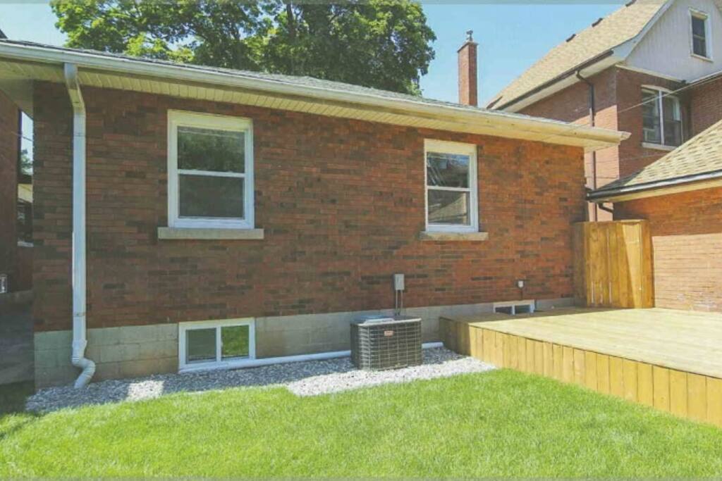 Back yard
