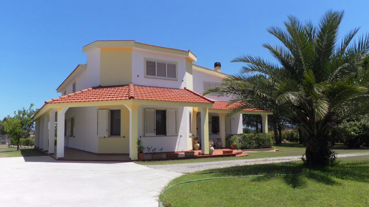 A two-story house is shown featuring a red-tiled roof and light-colored walls. A spacious porch is visible, surrounded by a well-maintained yard with greenery. Palm trees provide shade, and a driveway leads toward the entrance, enhancing the property’s welcoming appeal.