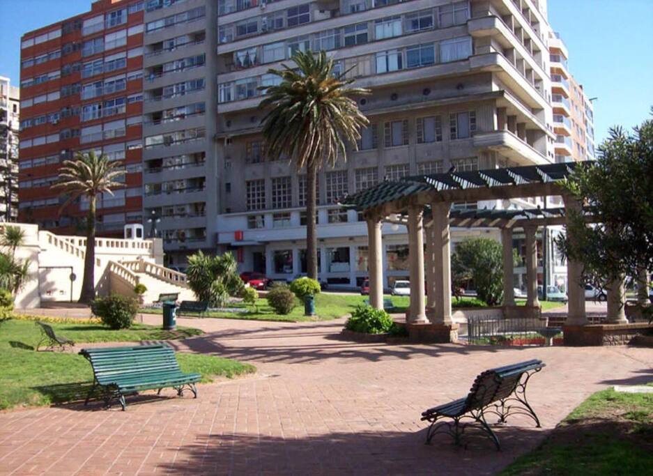 El edificio desde la Plaza / The building from the plaza