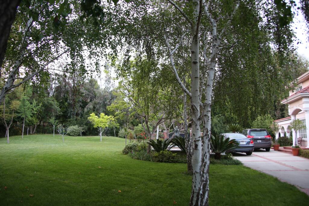 Front Yard Lawn