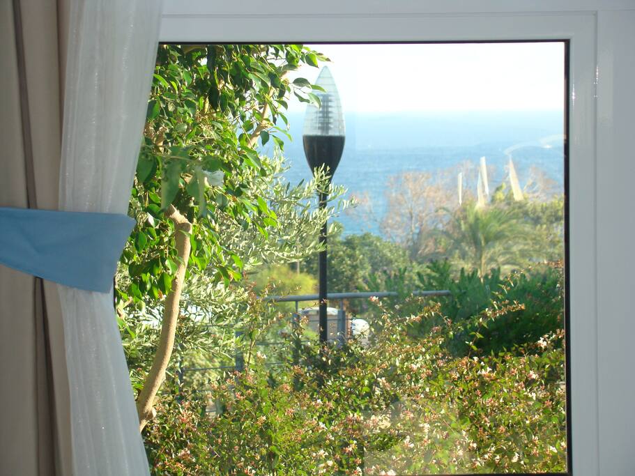 View From the Window