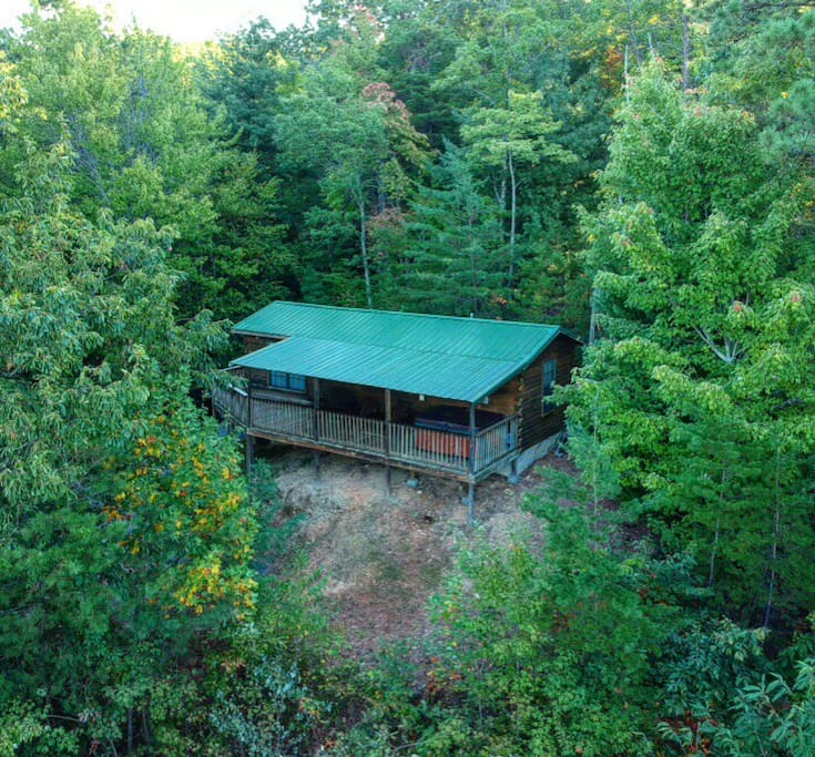 Nestled perfectly in the woods