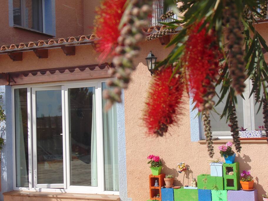 El color de las flores y la luz mediterránea.