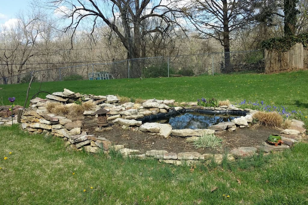 Goldfish pond about ready to start blooming!