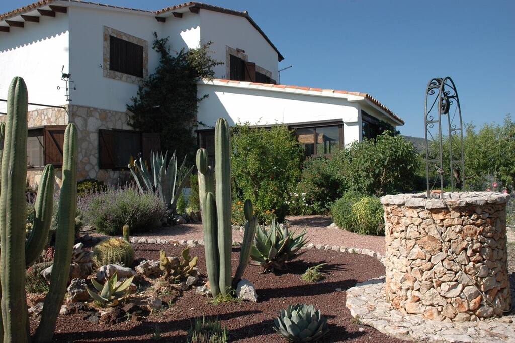 Jardín / garden
