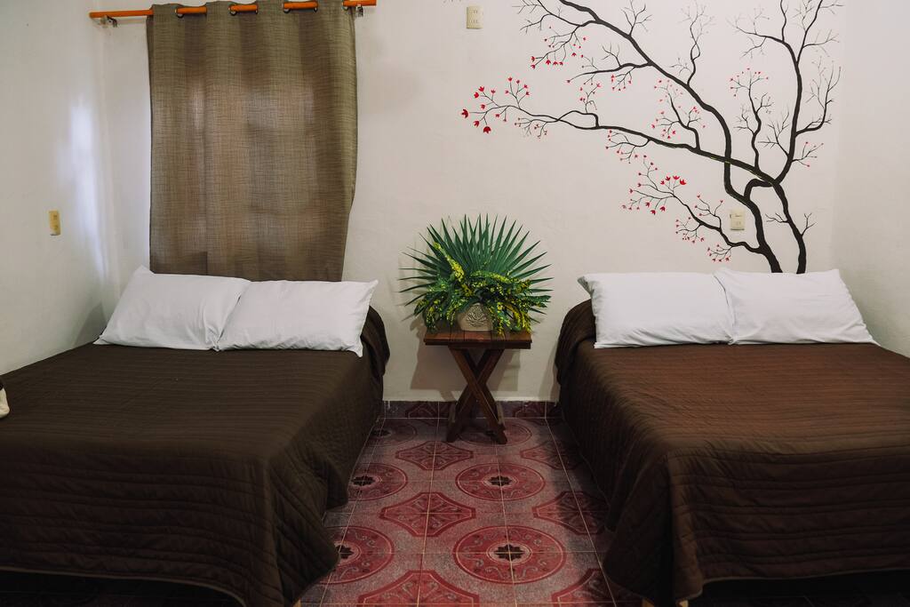 Habitación 1