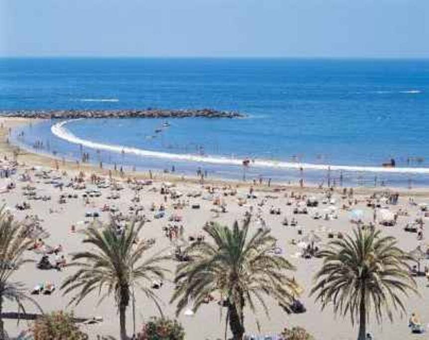 Playas a 100 metros del apartamento