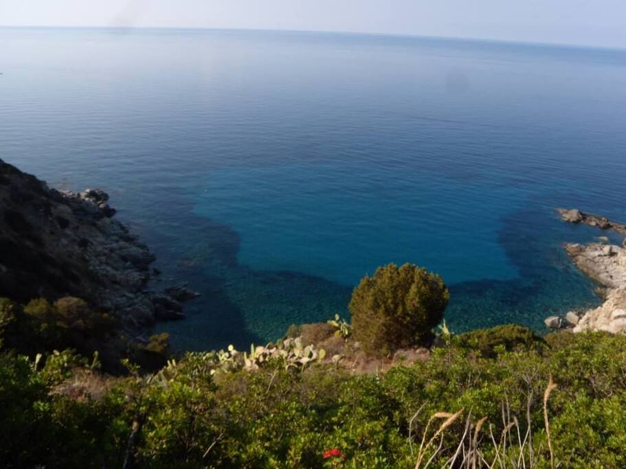 Aussicht zur Cala Delfino / view to Cala Delfino / veduta di Cala Delfino