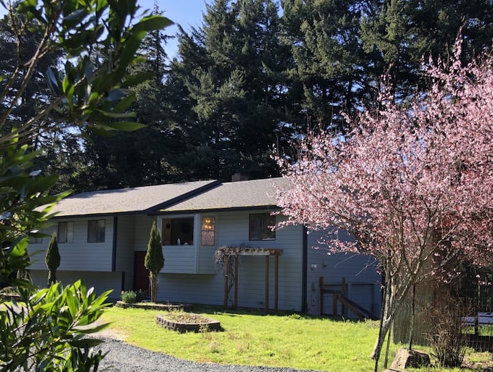 Port Orford Vacation Rentals Airbnb
