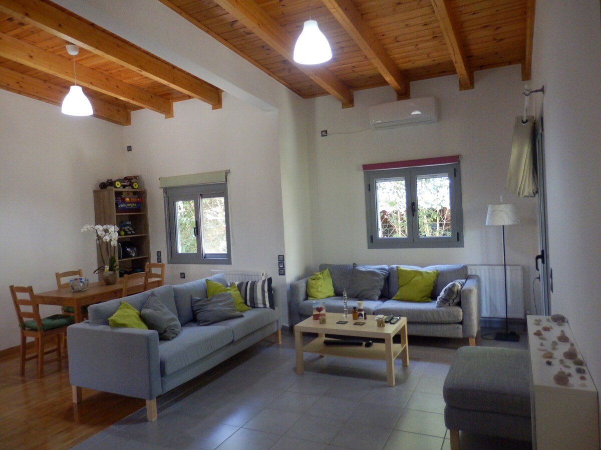A spacious living room features a wooden ceiling and modern furnishings. Two sofas with cushions provide comfortable seating, complemented by a coffee table. A dining table is visible in the background. Windows allow natural light to illuminate the area, enhancing the serene ambiance.