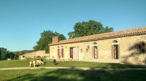 Bergerie de Fenouillet - Les Clapas