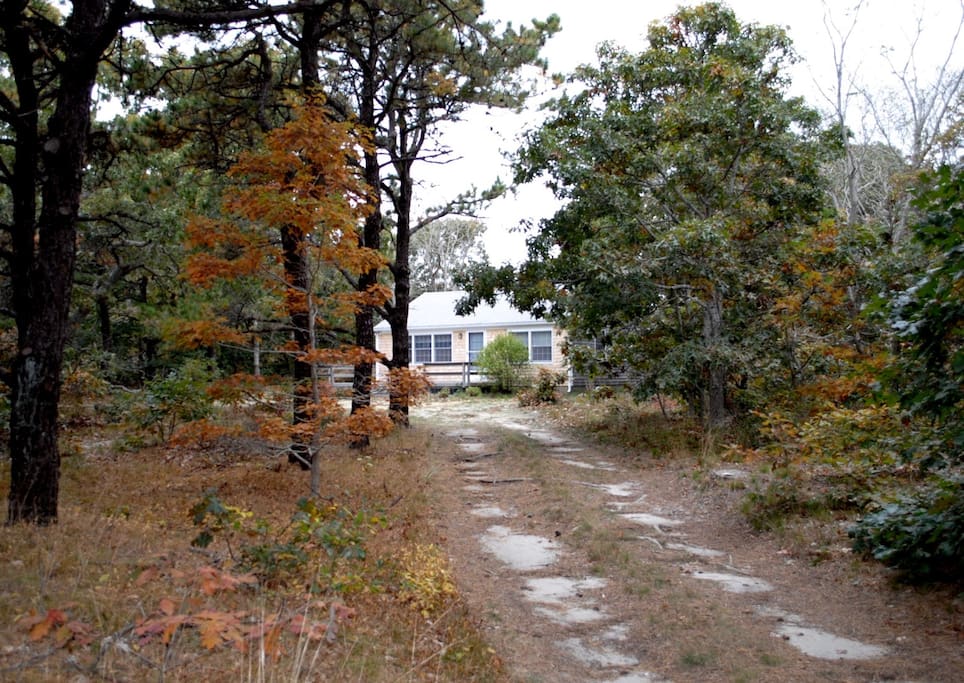 Private and quiet setting with horseshoe driveway off sandy road