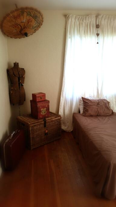Two windows and twin bed