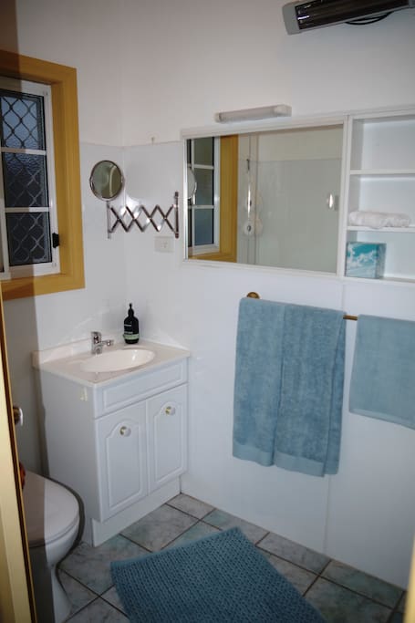 Bathroom en-suite with large shower, toilet and sink.