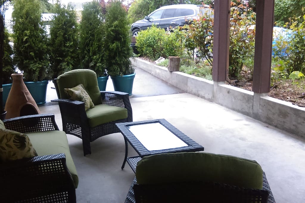 Covered Patio and BBQ area