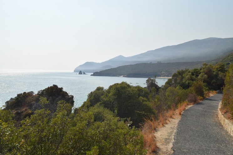 Show full-screen, host-provided image