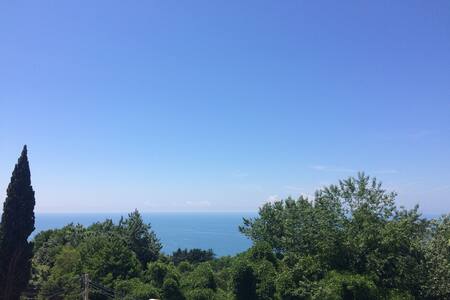 Отдых на море, Курортный пр-т 96/4, квартира сдам