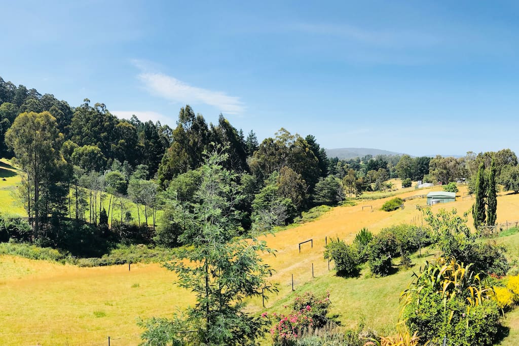 Valley View