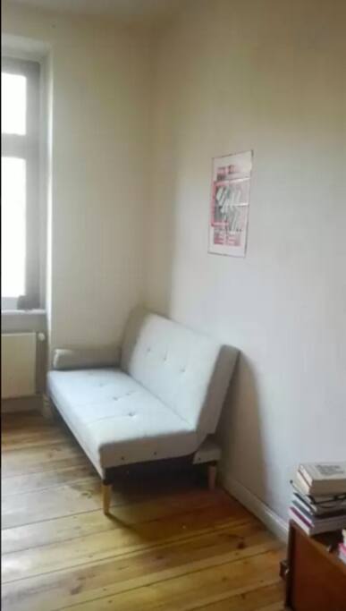 The couch, that can be turned into a 169 wide Futon bed