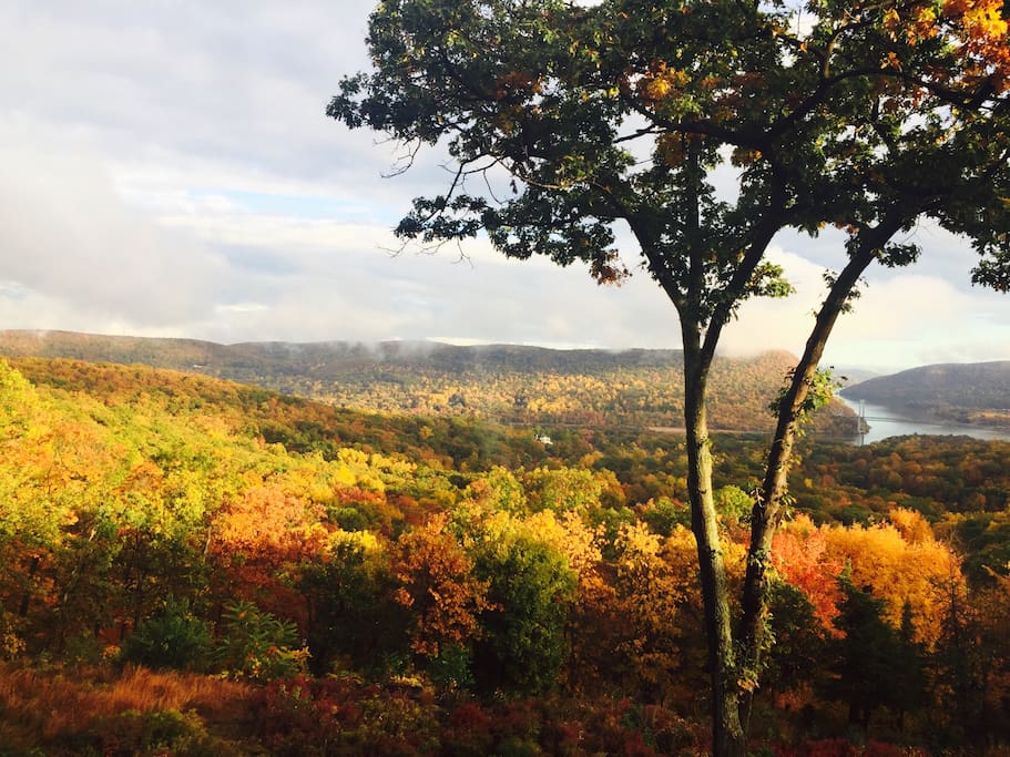 Autumn Foliage - Front Window & Private Patio View