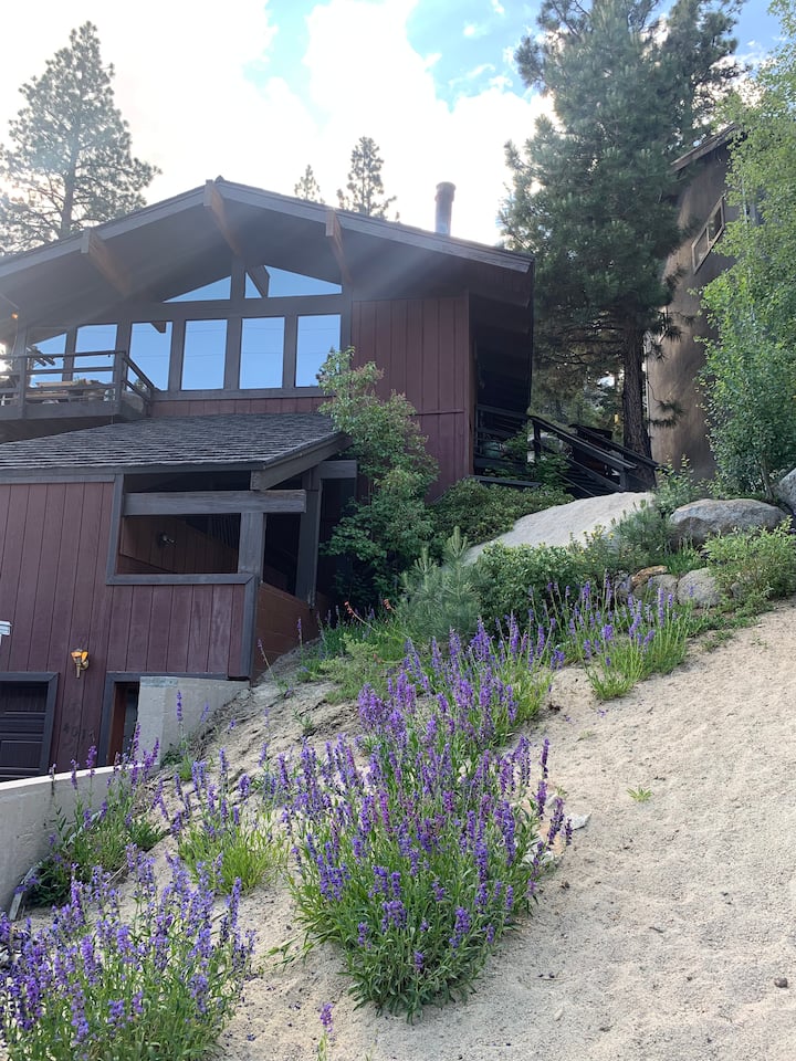 GUNBARREL OVERLOOK HEAVENLY VALLEY SKI SLOPES Houses for Rent in