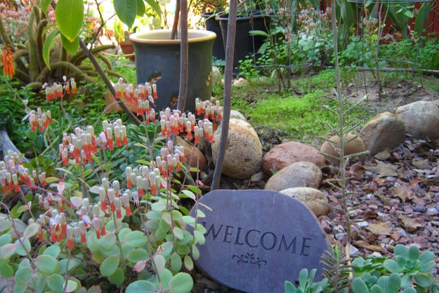 A serene garden area is showcased, featuring a variety of plants including flowering species with orange-tipped blossoms. A slate stone with the word 'WELCOME' is prominently displayed among smooth rocks, enhancing the inviting atmosphere of the space.