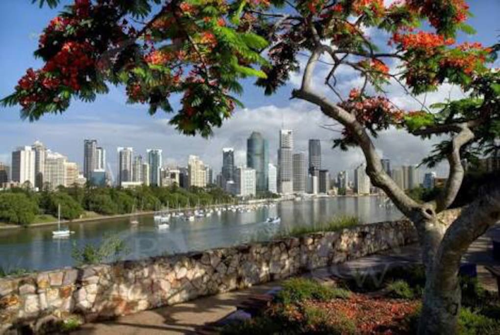 Gorgeous Brisbane riverside