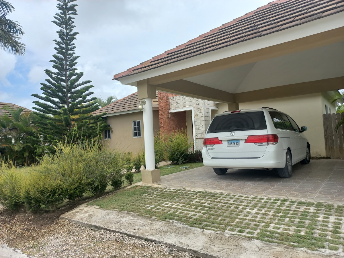 A covered carport is shown, accommodating a white minivan. Lush greenery, including tall palm trees and textured shrubs, surrounds the area. A brick wall and light-colored building are visible in the background, contributing to a serene outdoor environment.