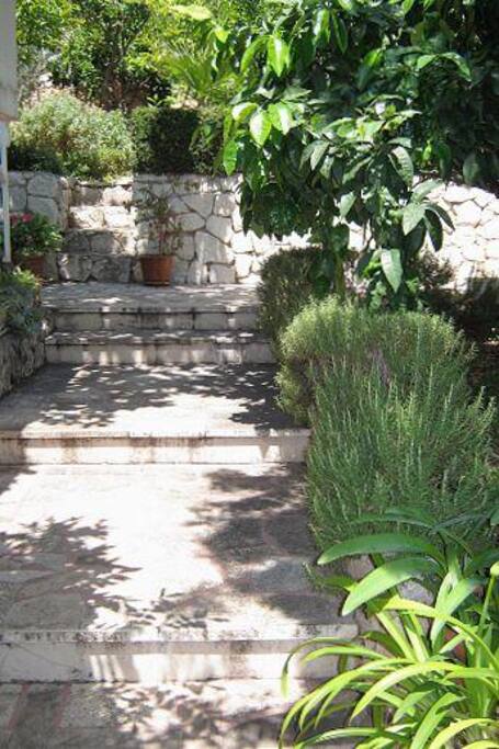 courtyard