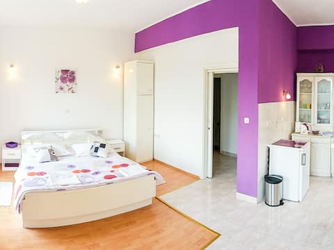 Vintage style Studio 2+1