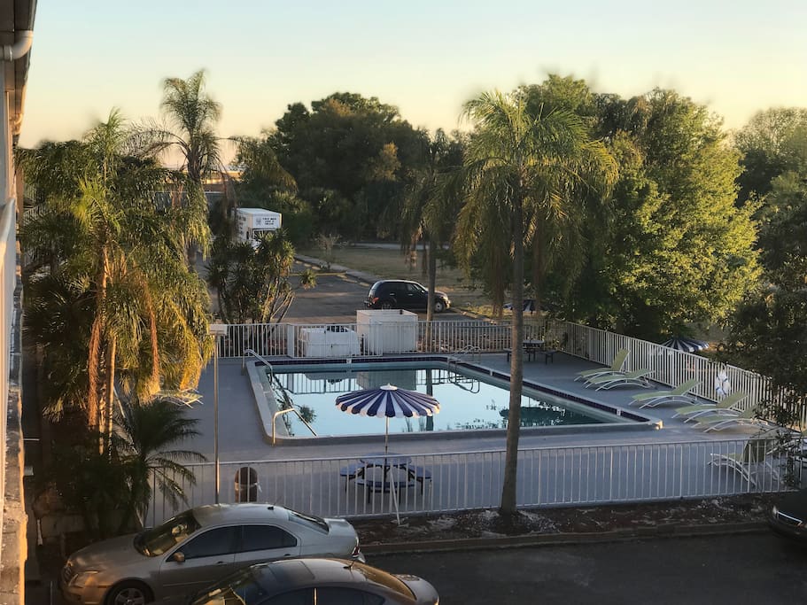 Pool view