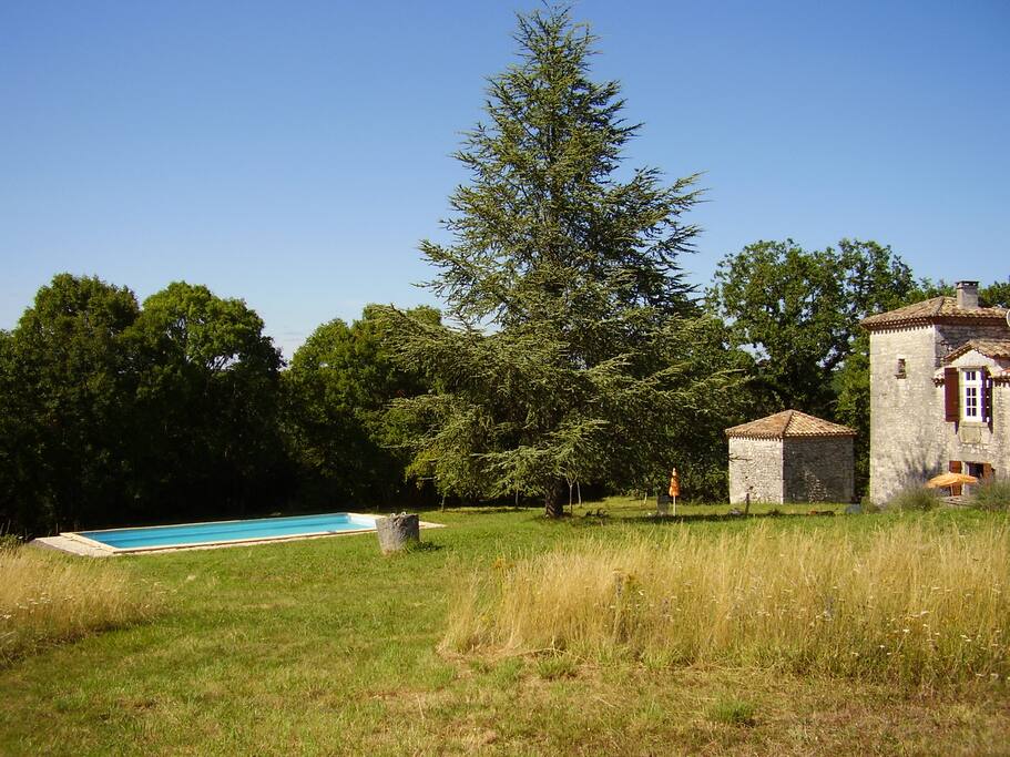 Vaste jardin avec piscine