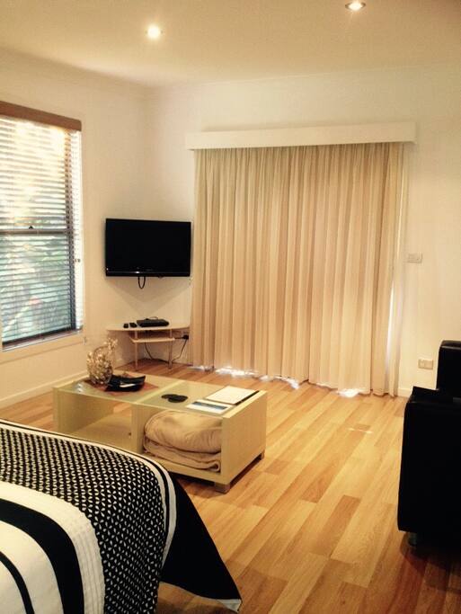 Large studio room with flat screen tv and DVD player