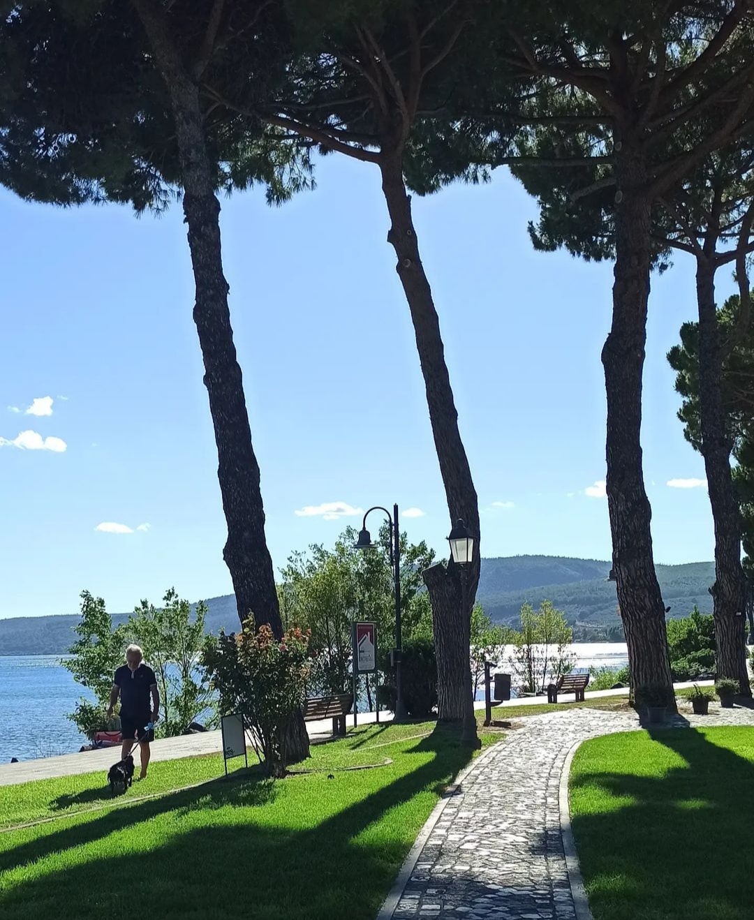 A pathway lined with tall trees leads towards the water. Gentle sunlight filters through the leaves, creating dappled shadows on the grass. A figure and a dog can be seen walking along the path, with views of the lake and distant hills visible in the background.