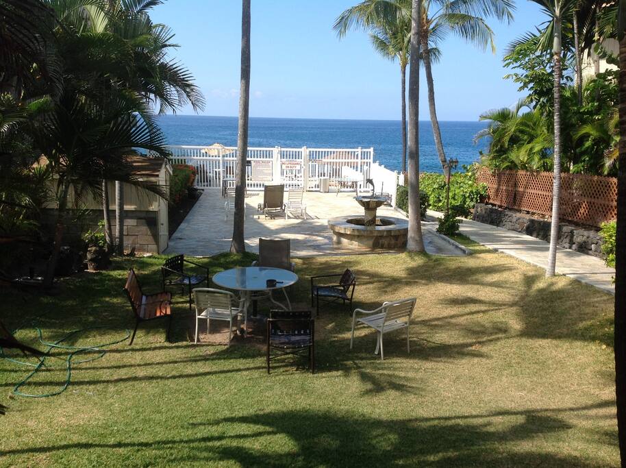 View from charcoal BBQ area towards the pool.