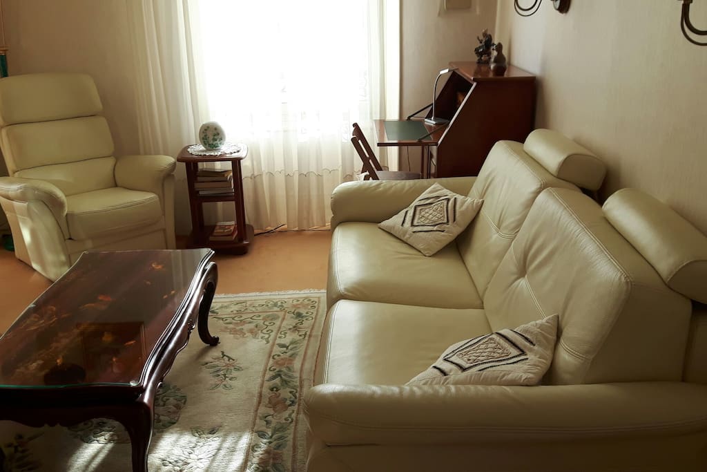 Beaux fauteuils en cuir du salon.
