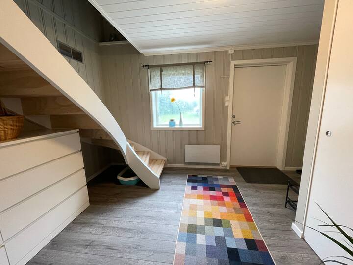 Cozy basement living room with private bathroom and private entrance