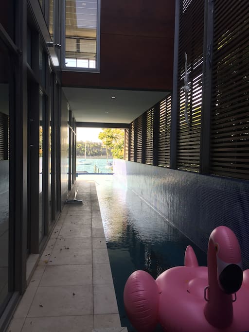 Our long lap pool