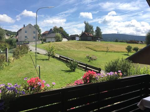 Apartment with large balcony, in the countryside.