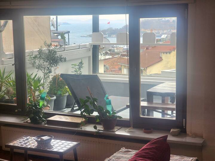 Private Roof flat with terrace in Galata/Beyoglu