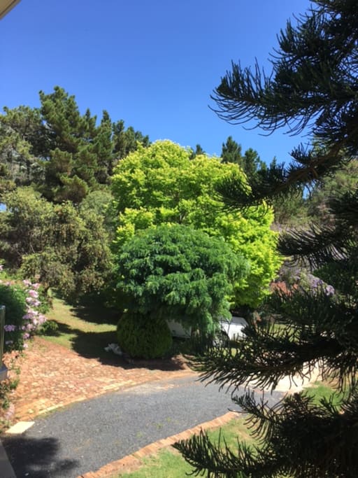 Driveway