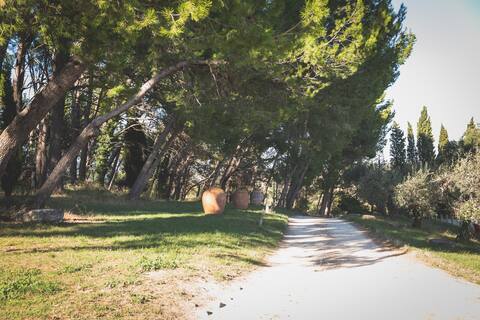 Apartment 50m2 and pool for in the Rhône valley.