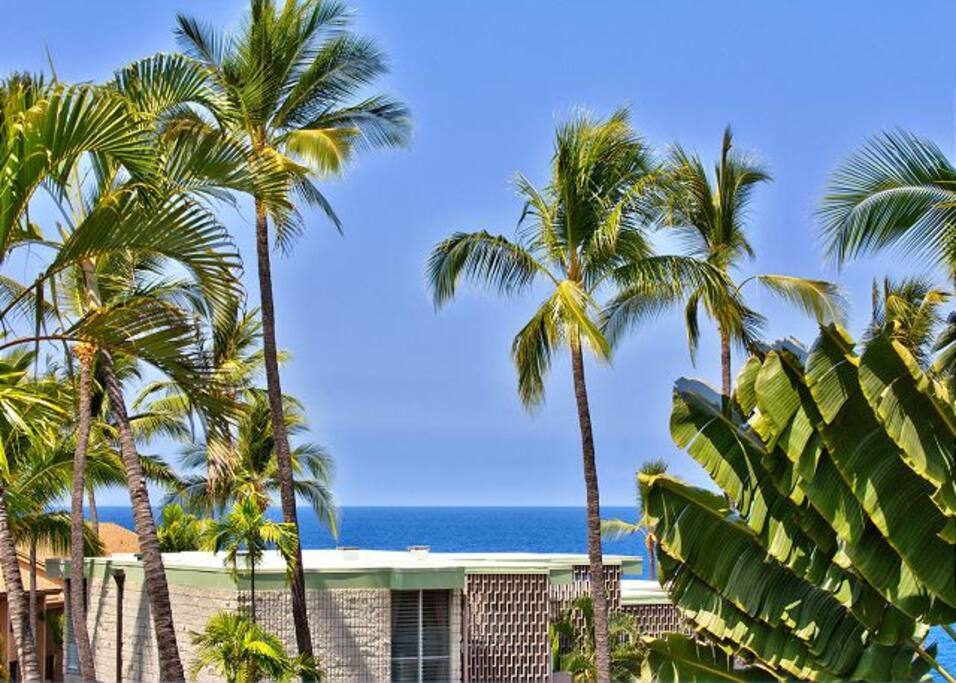 Ocean Views from the condo