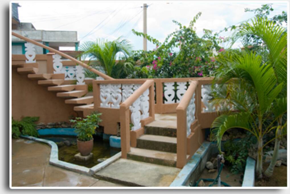 Nuestro Jardin con Acuario un perro muy Amigable