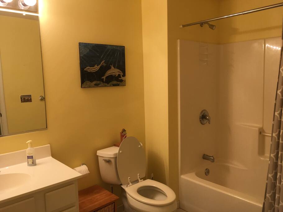Hallway bathroom with full bathtub and shower